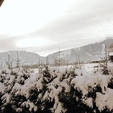 Bergblick * Saalfelden