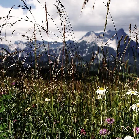 Bergblick * Saalfelden