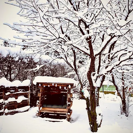 Bergblick Saalfelden