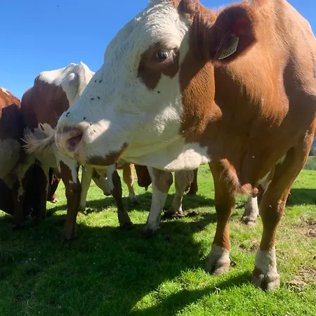 Bergblick Apartamento Saalfelden