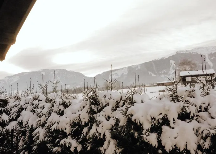Bergblick * Saalfelden