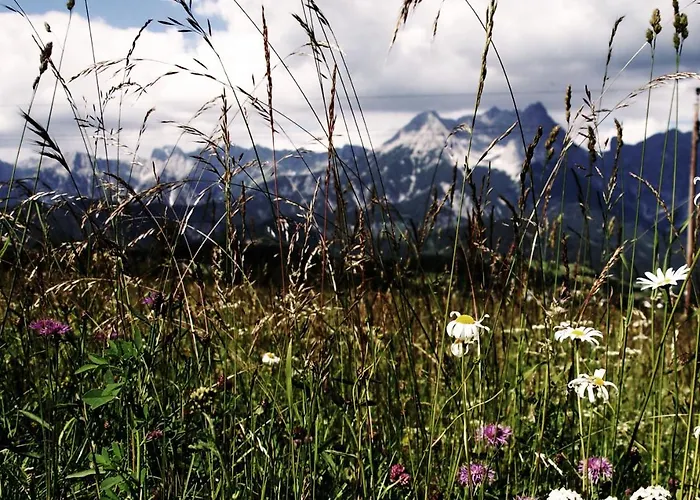 Bergblick * Saalfelden