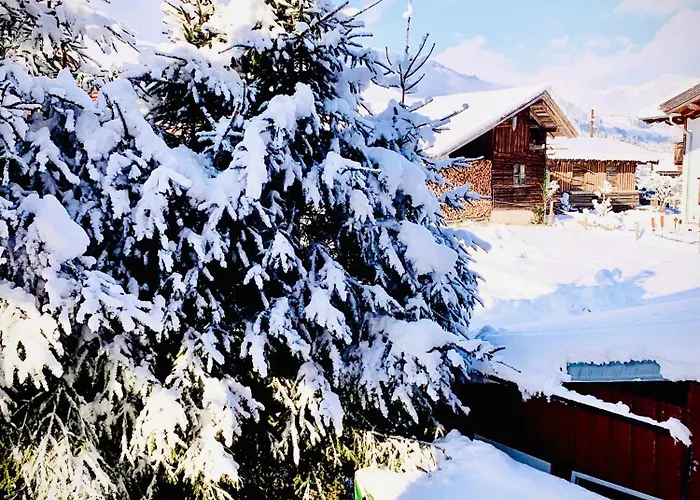 Bergblick דירה סאלפלדן אם שטיינרן מיר