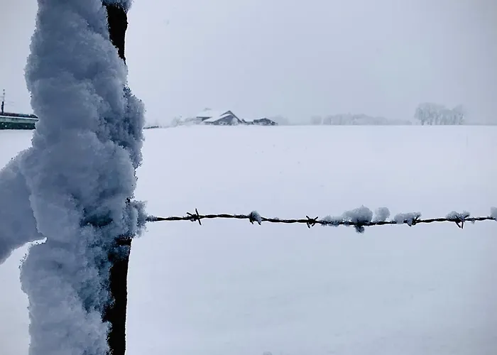 Bergblick Appartamento *