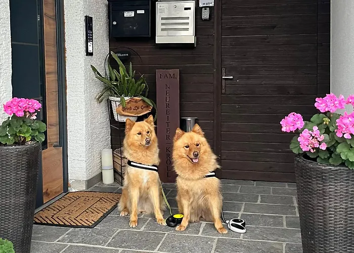 דירה Bergblick סאלפלדן אם שטיינרן מיר